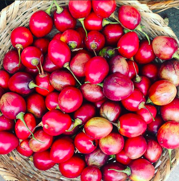 Screen Shot 2017-12-09 at 13.01.56